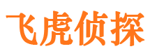 蔚县调查公司